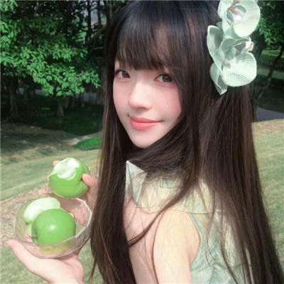 春光花月